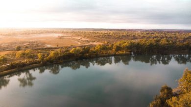 Murray River Renmark