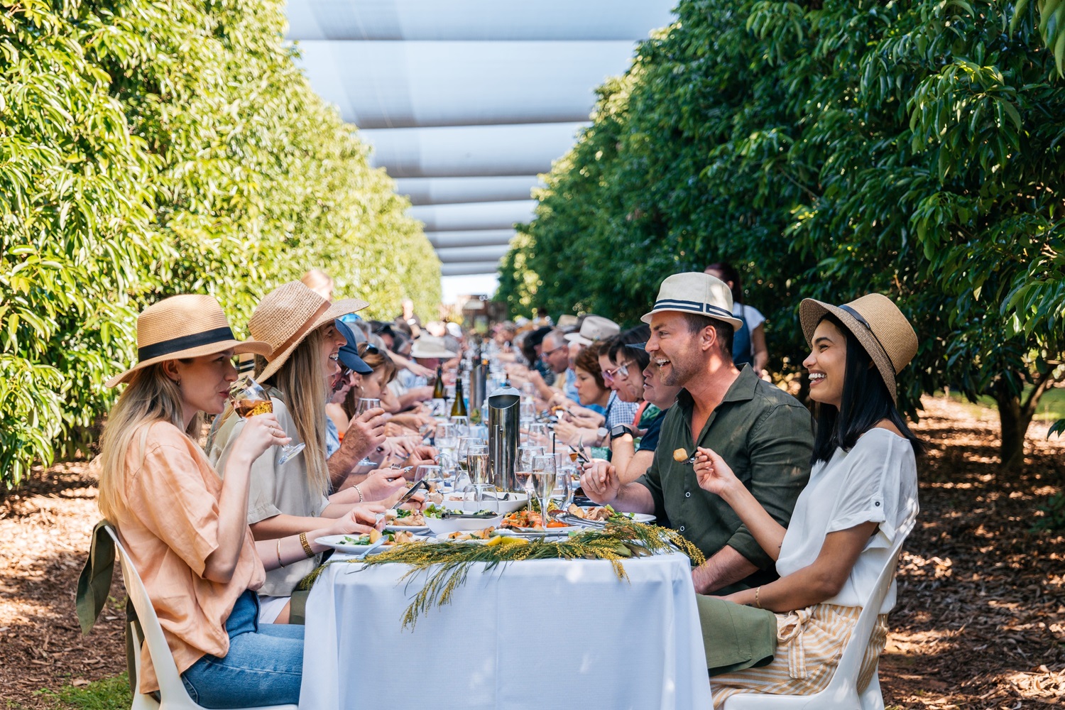 The Curated Plate Menu unveiled for Sunshine Coast’s premier culinary