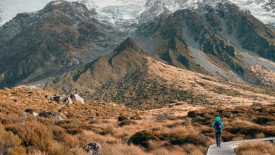 New Zealand ecotourism