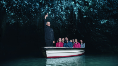 waitomo glowworm caves