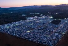 Byron Shire Splendour in the Grass site