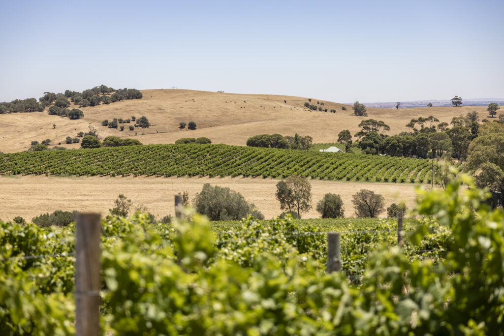 InterContinental Barossa Resort & Spa Location. Image: Supplied