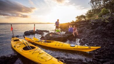 Auckland Sea Kayaks