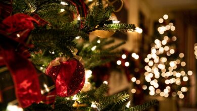 Christmas lights