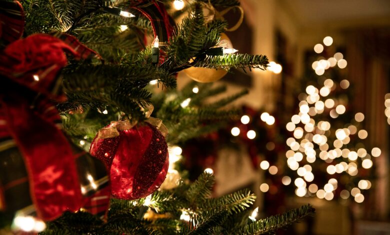Christmas lights