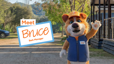 Discovery Parks Bark manager