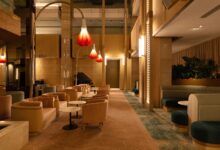 Sun Orchid Lounge at Amora Adelaide